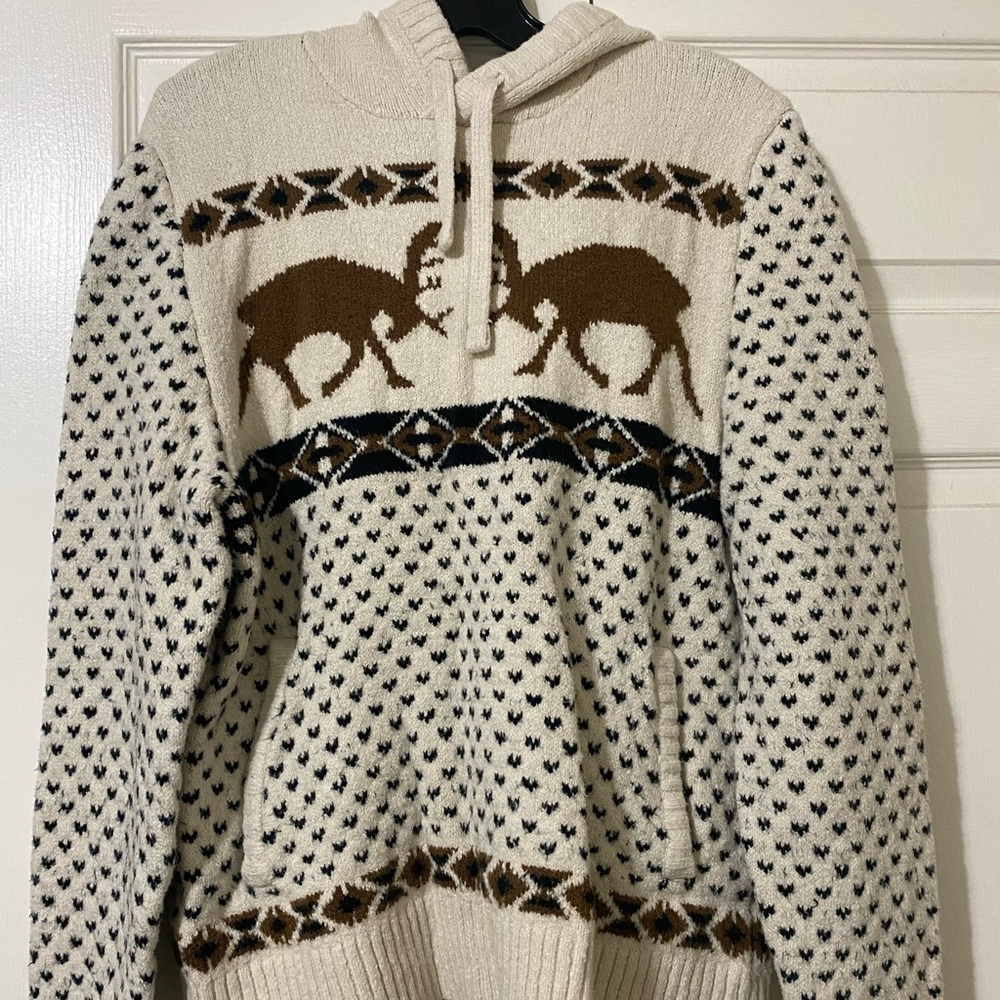 American Eagle moose graphic wool hoodie